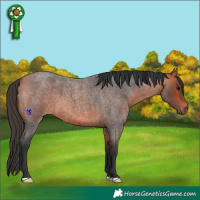 Horse Color:Bay Roan 