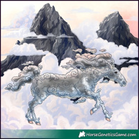 Horse Color:White Spotted Black Tobiano Rabicano