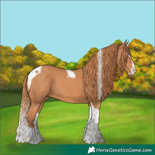 Horse Color:Chestnut Splash Tobiano 