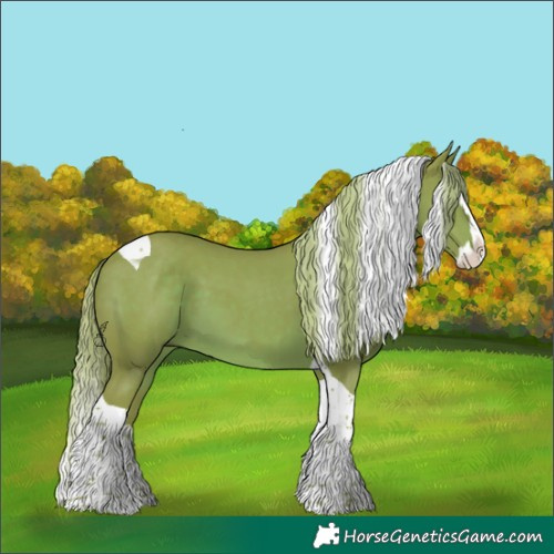 Horse Color:Watercolor Liver Chestnut Splash Tobiano 