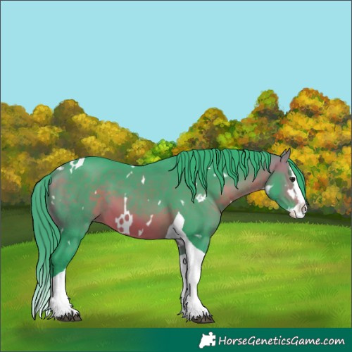 Horse Color:Watercolor White Spotted Bay Splash Tobiano 