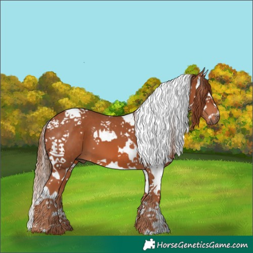 Horse Color:Chestnut Splash Tobiano 