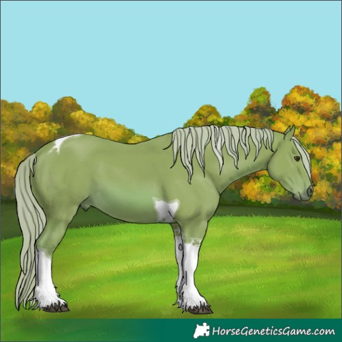 Horse Color:Watercolor Chestnut Tobiano