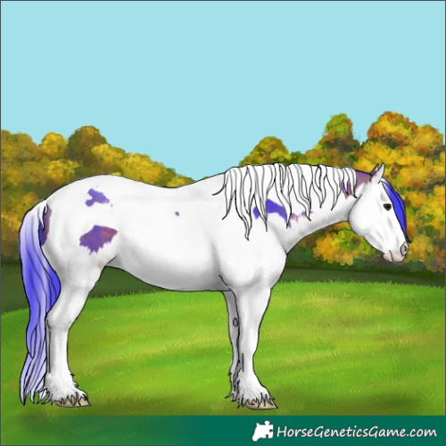 Horse Color:Watercolor Bay Splash Tobiano 