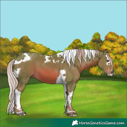 Horse Color:Watercolor Chestnut Splash Tobiano