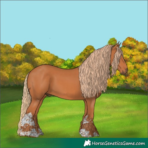 Horse Color:Chestnut Tobiano