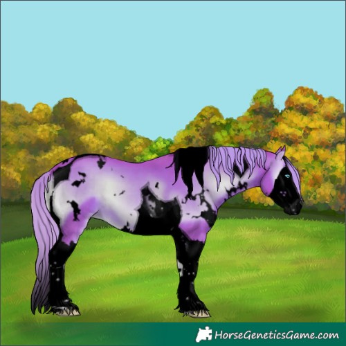 Horse Color:Void Watercolor White Spotted Liver Red Onyx Splash Tobiano 