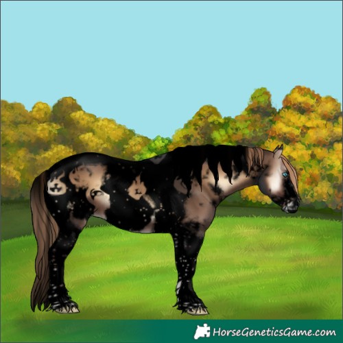 Horse Color:Void White Spotted Liver Red Onyx Tobiano Frame