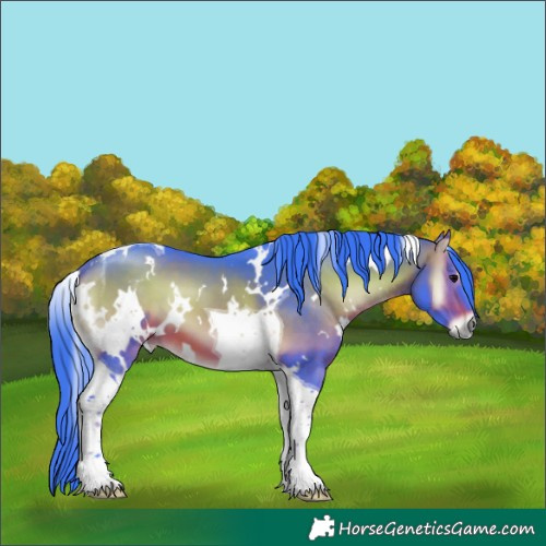 Horse Color:Watercolor White Spotted Bay Onyx Tobiano 