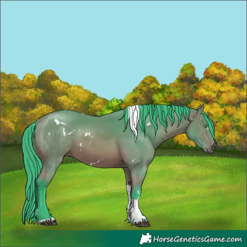 Horse Color:Watercolor White Spotted Bay Tobiano 
