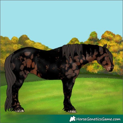 Horse Color:Void Liver Chestnut Tobiano Near Leopard 
