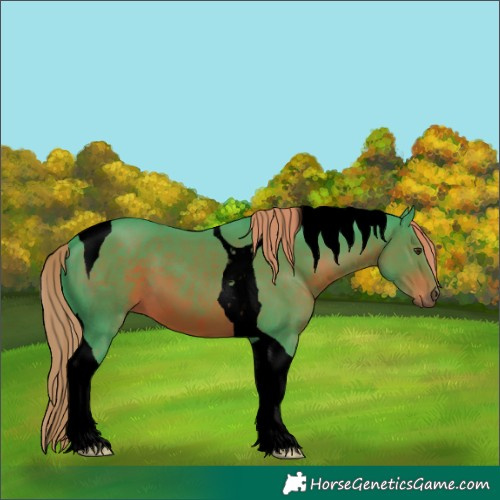 Horse Color:Void Watercolor Liver Chestnut Tobiano 