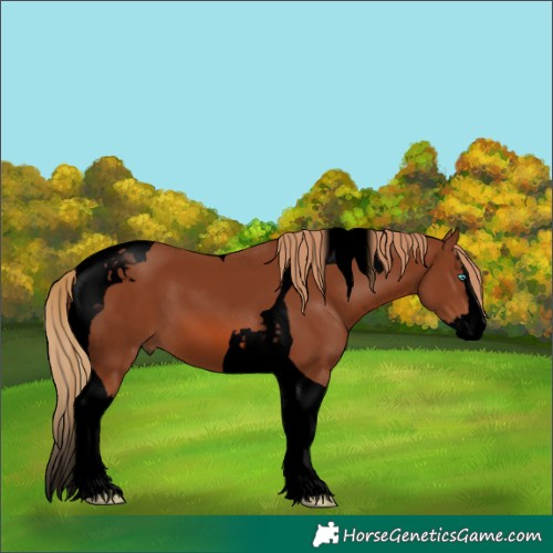 Horse Color:Void Chestnut Splash Tobiano 