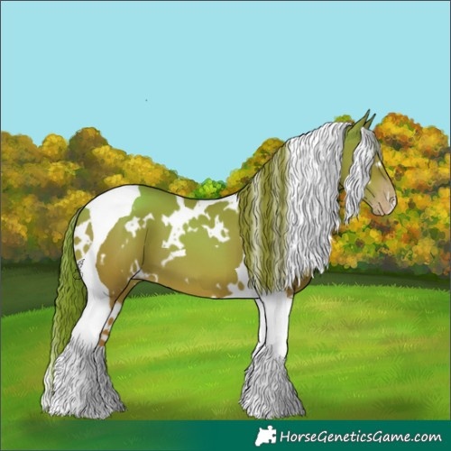 Horse Color:White Spotted Gold Champagne Tobiano 