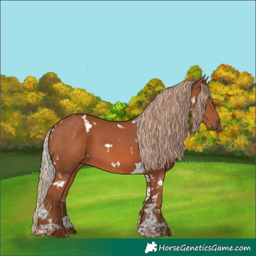 Horse Color:White Spotted Chestnut Tobiano