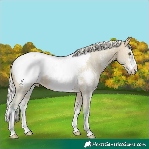Horse Color:Watercolor Silver Brown Dun Sabino Near Fewspot