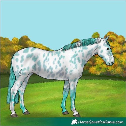 Horse Color:Watercolor White Spotted Brown Dun Leopard