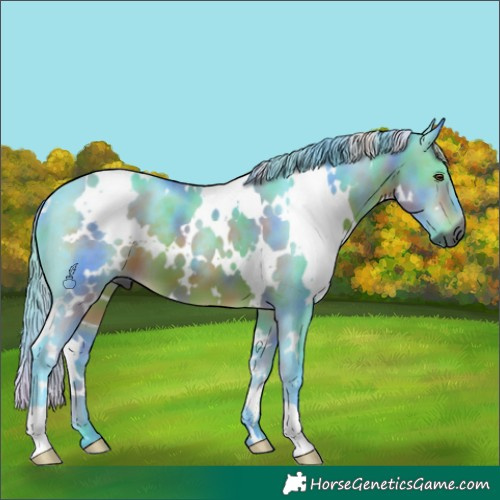Horse Color:Gray Nacre Watercolor White Spotted Brown