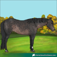 Horse Color:Platinum Brown