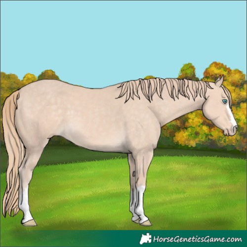 Horse Color:Chocolate Perlino 