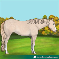 Horse Color:Chocolate Perlino