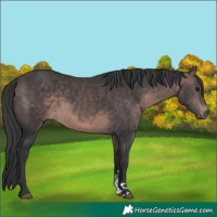 Horse Color:Platinum Brown