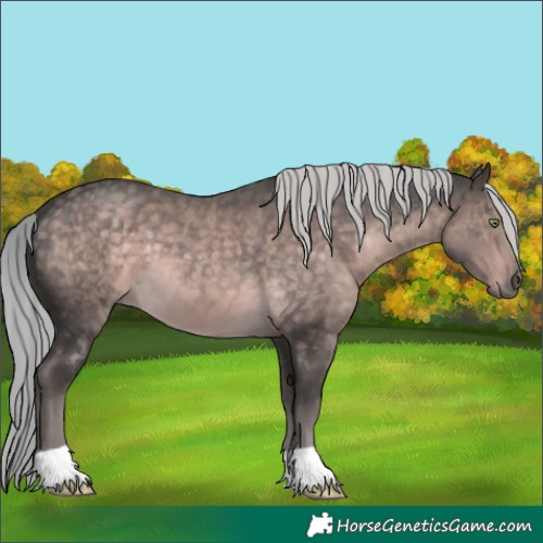Horse Color:Platinum Chocolate Palomino