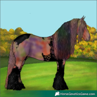Horse Color:Void Nacre Chestnut Tobiano