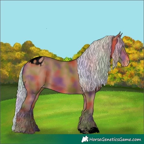 Horse Color:Void Nacre Silver Bay Blanket