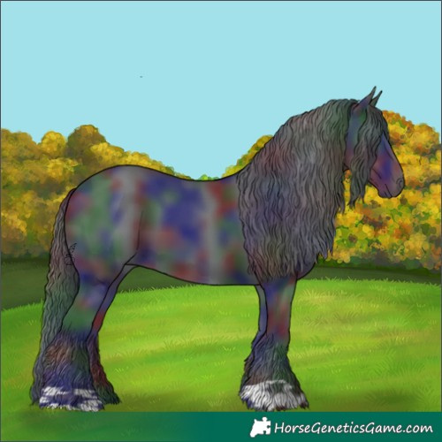 Horse Color:Nacre Black 