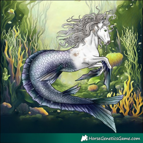 Horse Color:Gray White Spotted Silver Blue Onyx Ice Snowdrop Pearl Sabino 