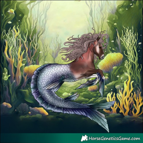 Horse Color:Gray Silver Blue Onyx 