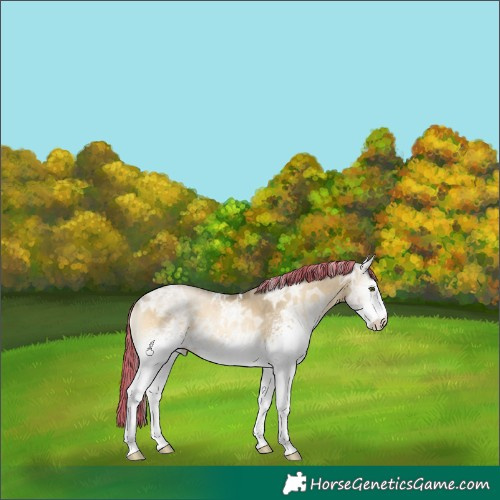 Horse Color:Powder White Painted White Spotted Silver Smoky Blue Onyx Ice Pearl