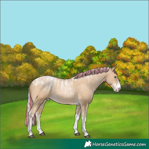 Horse Color:Powder White Painted Silver Buckskin Snowdrop 