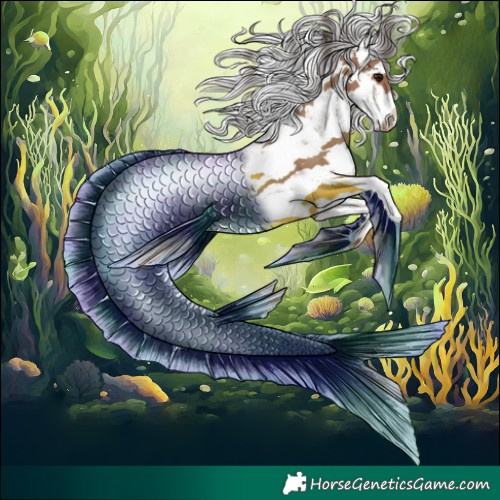 Horse Color:White Spotted Classic Champagne Sabino