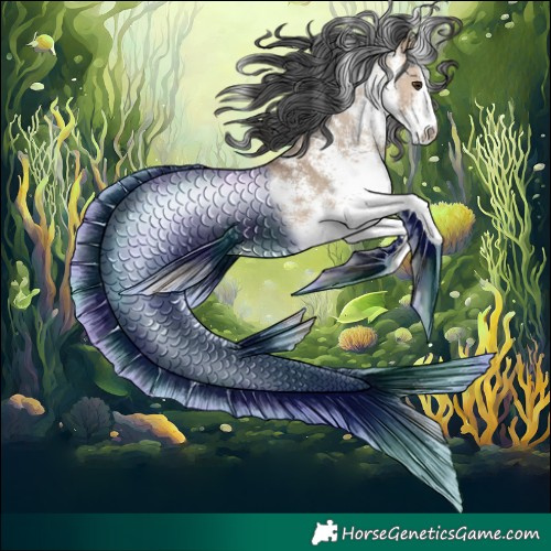 Horse Color:White Spotted Bay Dun Merle Rabicano