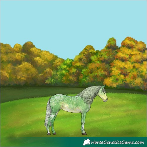 Horse Color:Powder White Watercolor Silver Smoky Black Ice