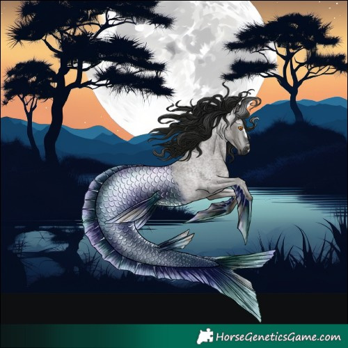 Horse Color:Gray Grullo Roan Rabicano