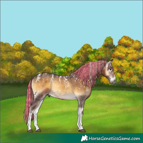 Horse Color:Powder White Gray Painted Chocolate Palomino Onyx Mushroom