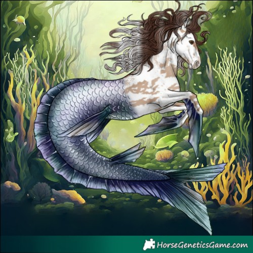 Horse Color:White Spotted Classic Champagne Dun