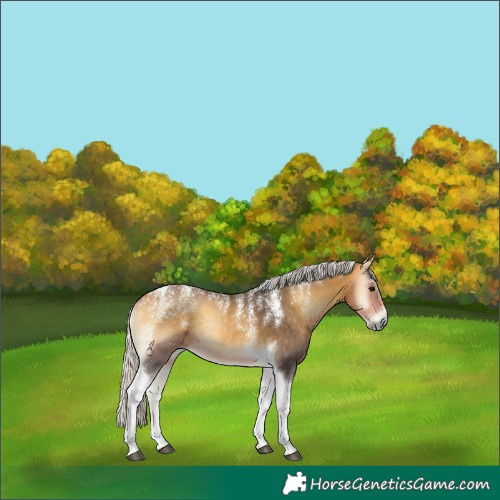 Horse Color:Powder White Silver Buckskin Onyx Tobiano