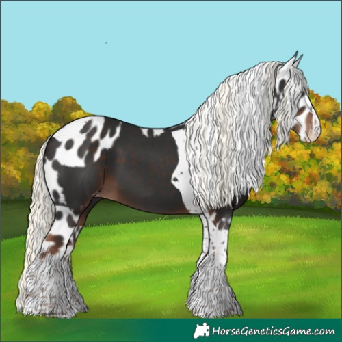 Horse Color:Liver Chestnut Mushroom Splash Tobiano Skewed LP Spotted 