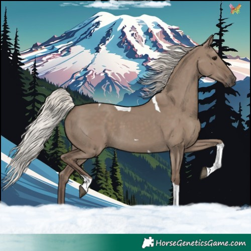 Horse Color:Silver Grullo Tobiano 