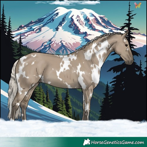 Horse Color:White Spotted Silver Smoky Grullo 