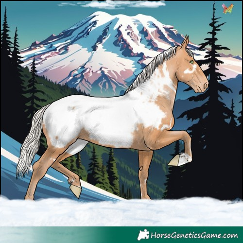Horse Color:White Spotted Silver Bay Pearl Near Fewspot