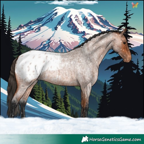 Horse Color:Bay Roan Blanket