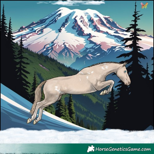 Horse Color:White Spotted Perlino Rabicano