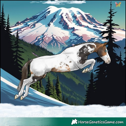 Horse Color:White Spotted Buckskin Splash Tobiano Snowcap