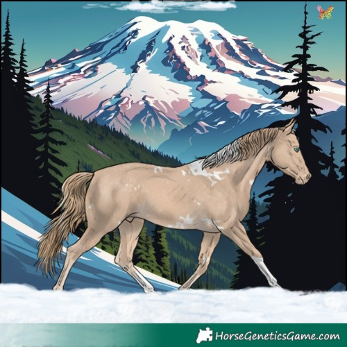 Horse Color:White Spotted Perlino Tobiano