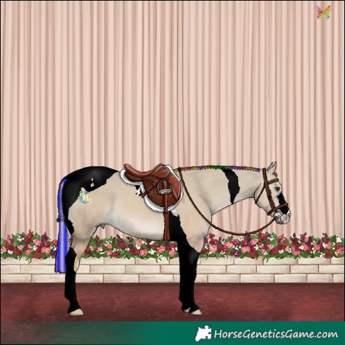 Horse Color:Painted Red Dun Tobiano 